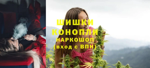 сатива Вязьма