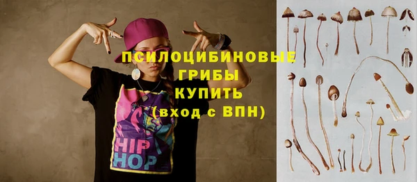 хмурый Магас