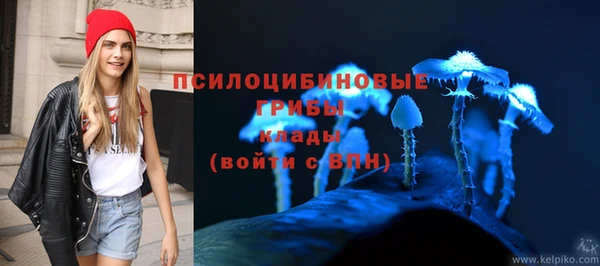 сатива Вязьма