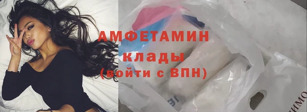 сатива Вязьма