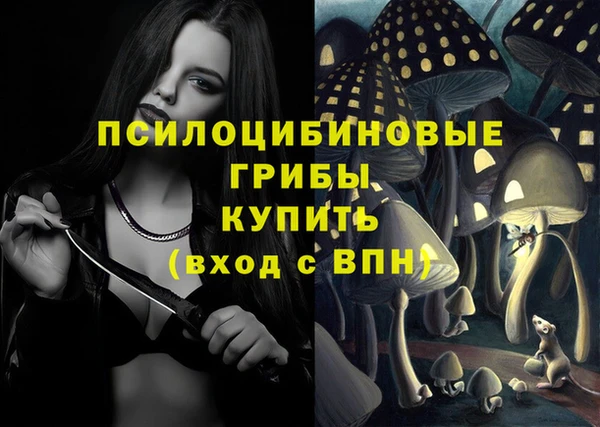 сатива Вязьма