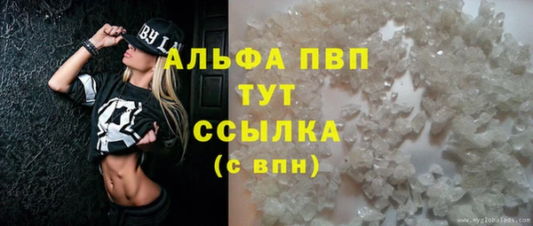 гидра Майский