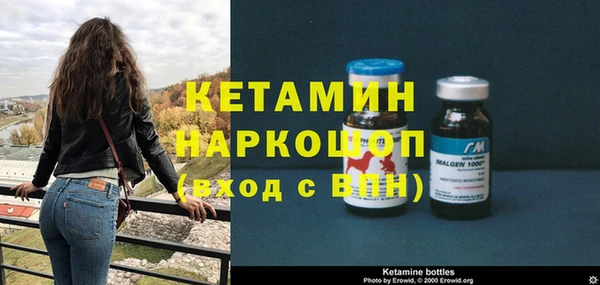 хмурый Магас