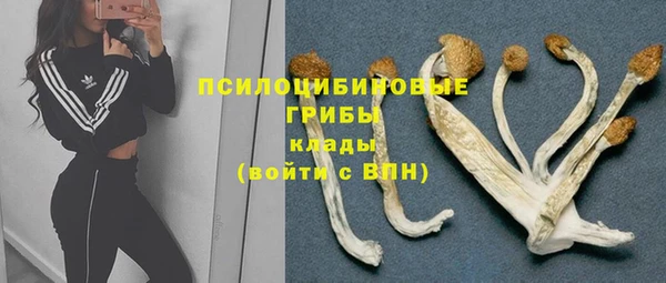 стафф Магадан