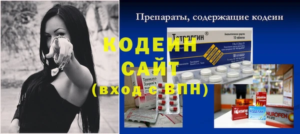 хмурый Магас